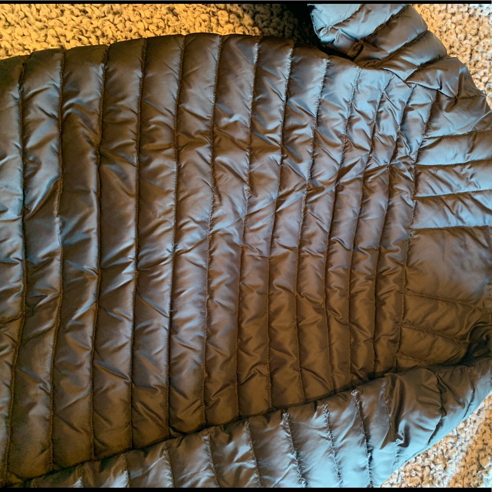 Size small LACOSTE jacket